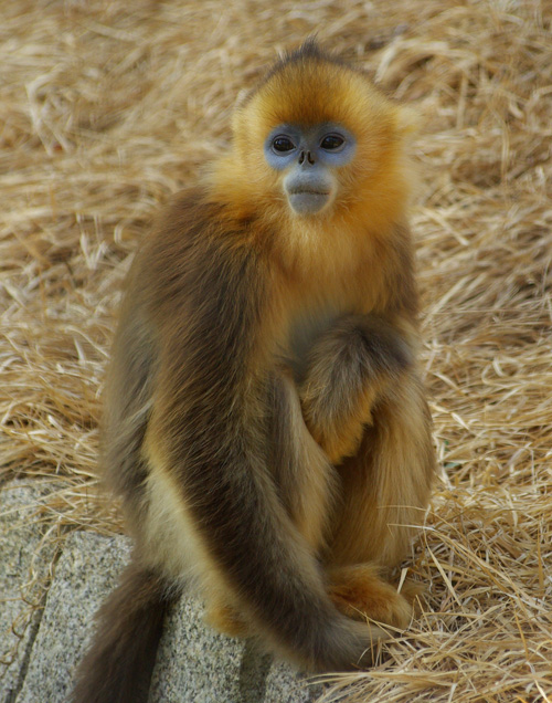 東山動植物園 ちょ 待てよ ヽ