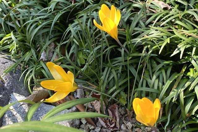 IMG_3237_640.jpg