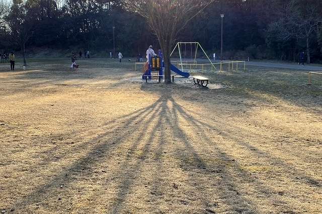 IMG_3247_640.jpg
