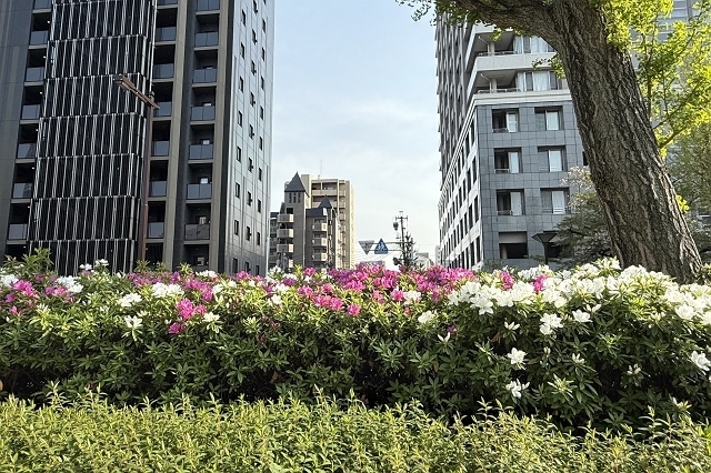 IMG_7648_640.jpg