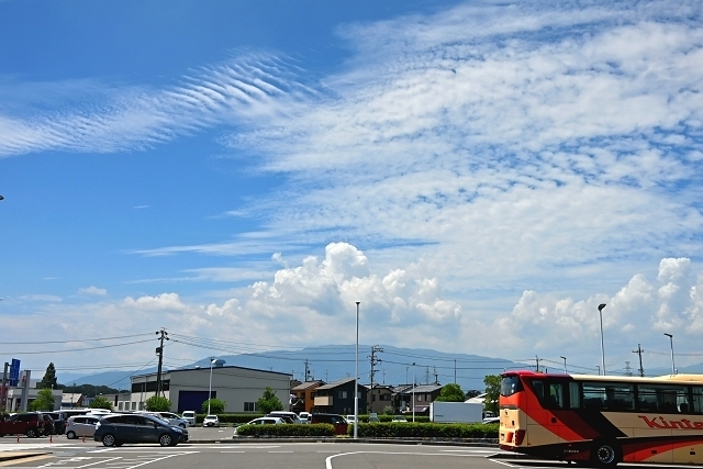 NZC_0479_640.jpg