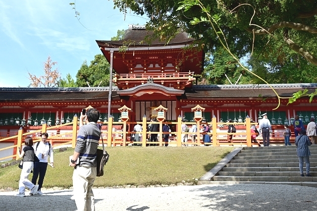 NZC_0658_640.jpg