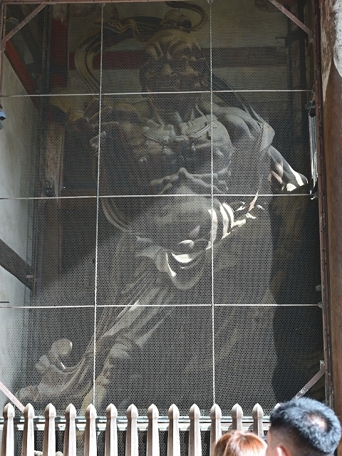 NZC_0677_640.jpg