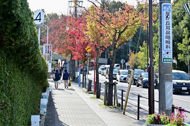 NZC_0701_640.jpg
