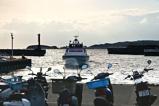 NZC_0962_640.jpg