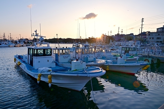 NZC_0974_640.jpg