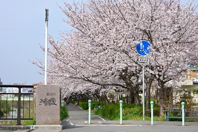NZC_1068_640.jpg