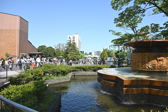 NZC_1082_640.jpg
