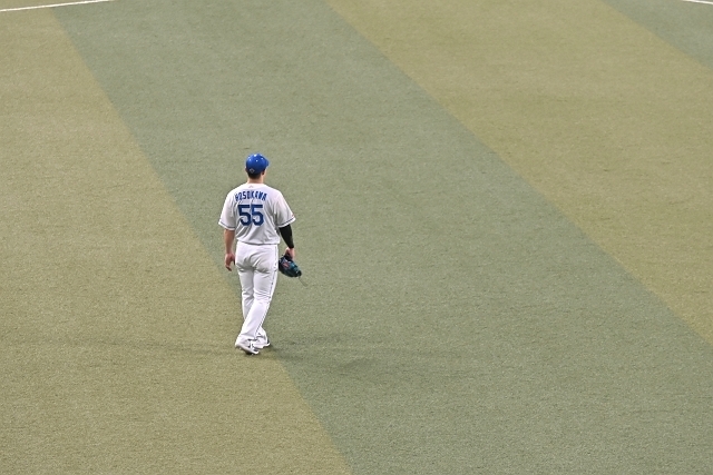 NZC_1137_640.jpg