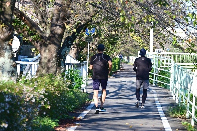 NZC_1223_640.jpg