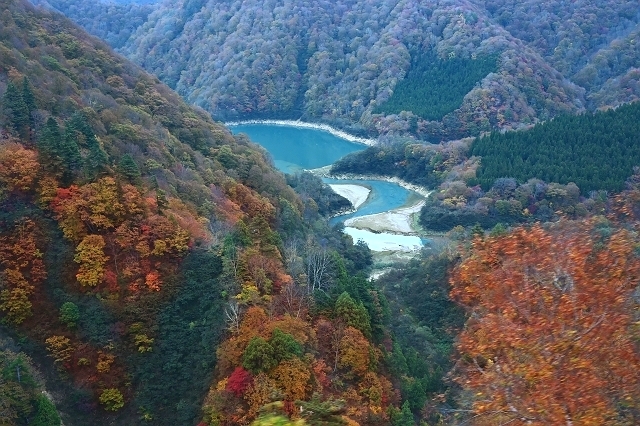 NZC_1266_640.jpg