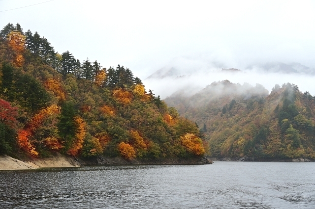 NZC_1297_640.jpg
