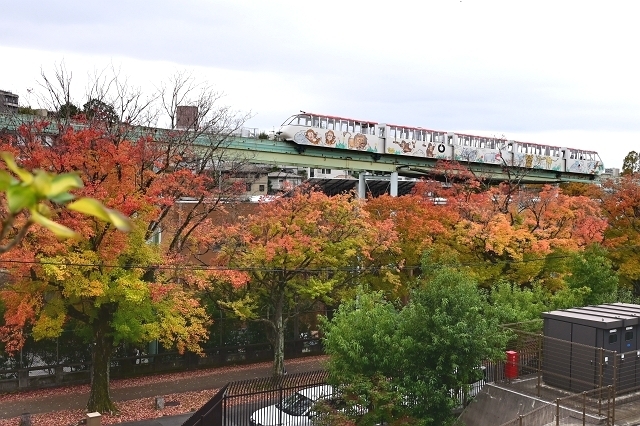 NZC_1368_640.jpg
