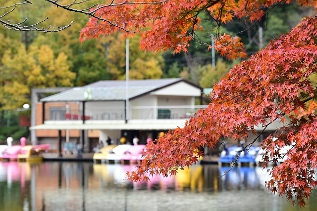 NZC_1379_640.jpg
