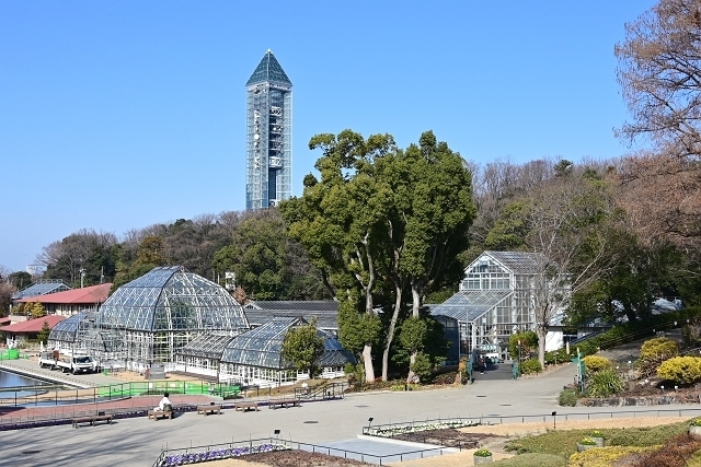 NZC_1431_640.jpg