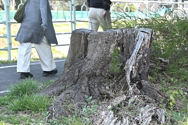 NZC_1467_640.jpg