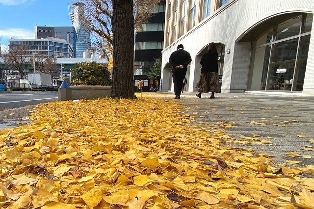 img1A_640.jpg
